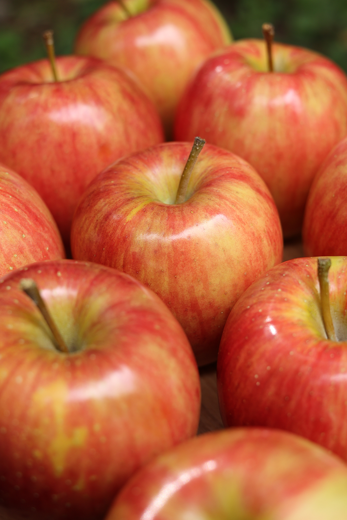 安曇野産りんご（サンふじ）