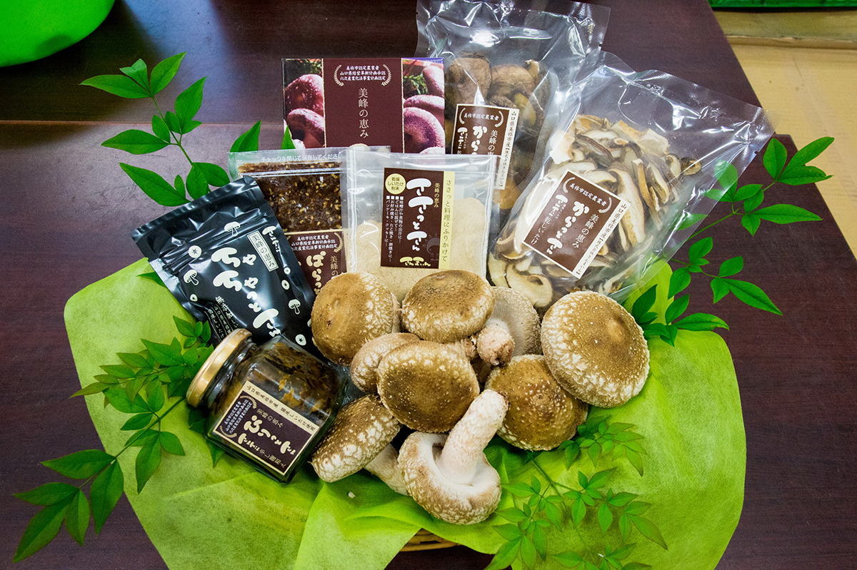 菌床椎茸及び椎茸を用いた加工品詰合せ（株式会社さんまいん）